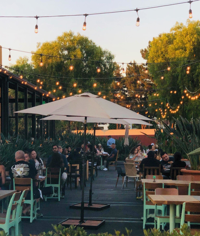 Cha Cha's Latin Kitchen