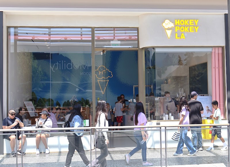 Hokey Pokey LA