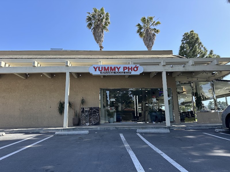 Yummy Pho