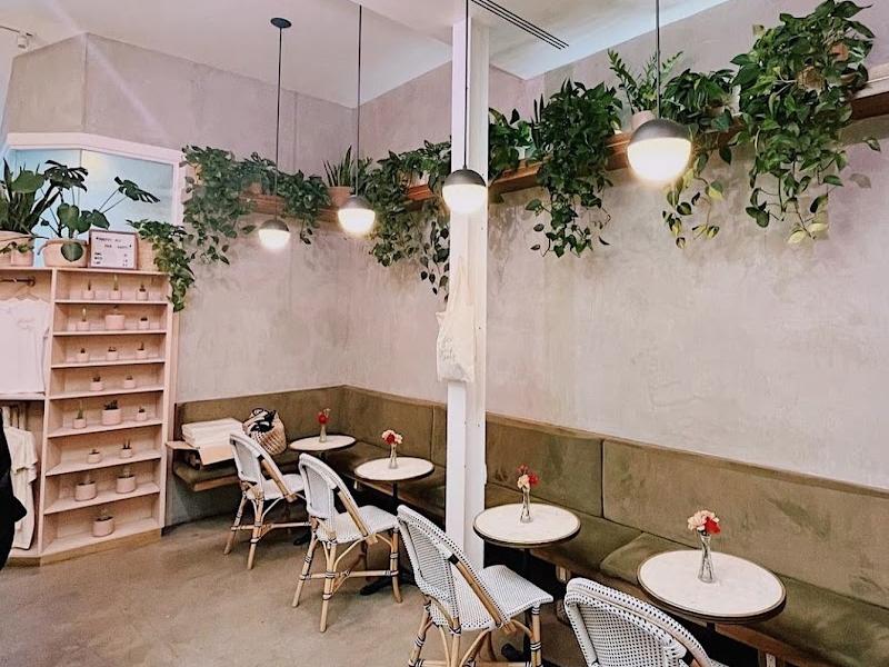 Coffee and Plants