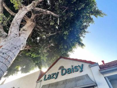 Lazy Daisy Beverly Hills