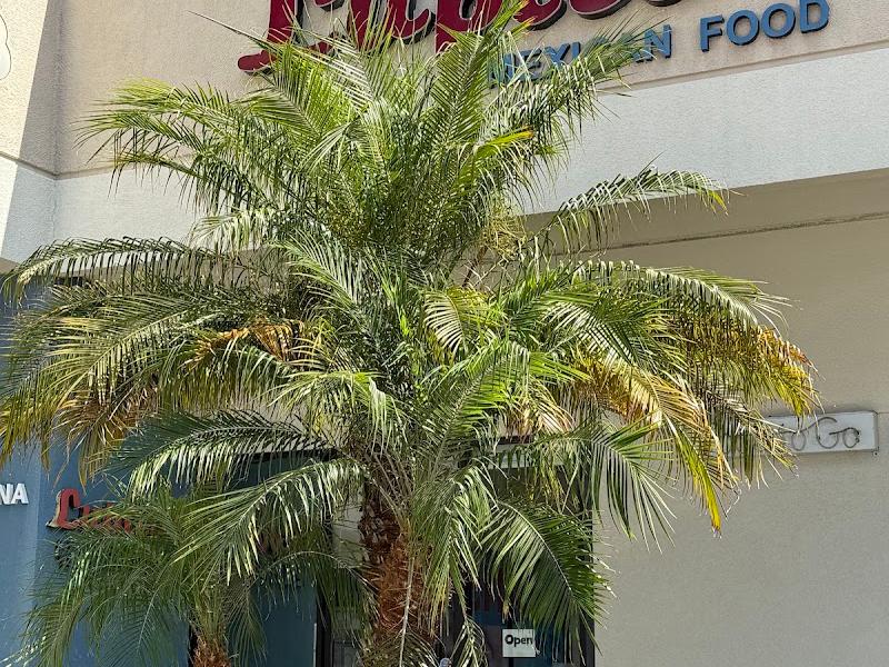 Lupita's