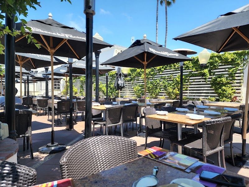 The Cheesecake Factory